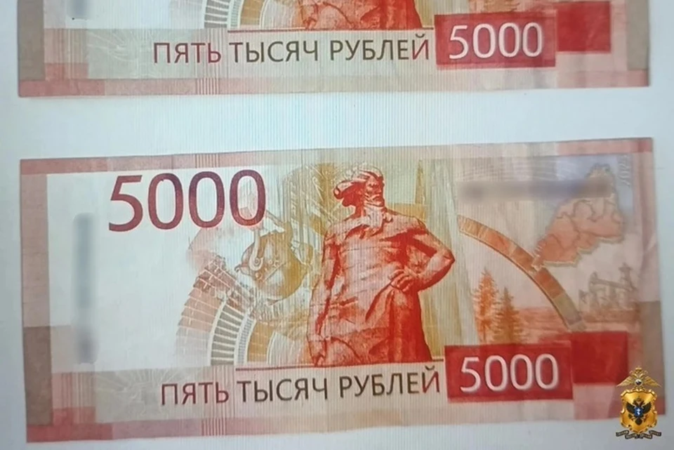 В Херсонской области сотрудники правоохранительных органов раскрыли циничное имущественное преступление против пожилого человека. Фото: ГУ МВД России по Херсонской области