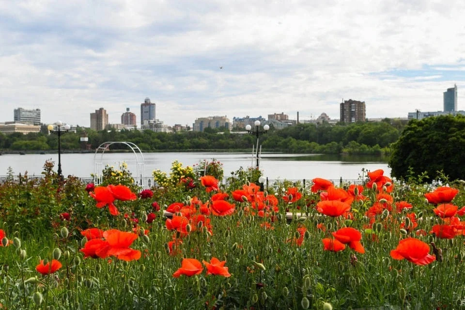 В Донецке 11 октября 2026 года ожидается ясная и теплая погода. Фото: ТГ/Кулемзин