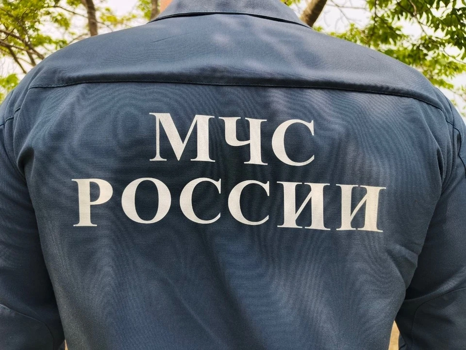 Фото: Кирилл Старков