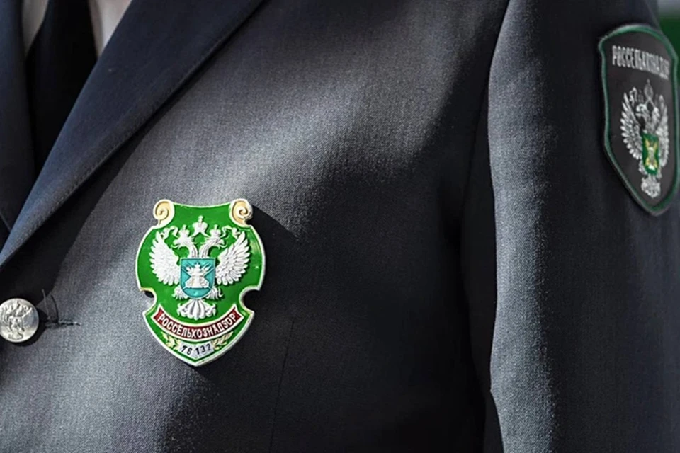 В ДНР выявили нелегальную схему перевозки попугаев для возможной продажи. Фото: Россельзознадзор