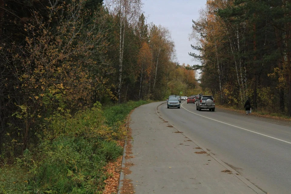 Специалисты установят 83 опоры и почти 3 километра электролиний. Фото: мэрия Новосибирска.