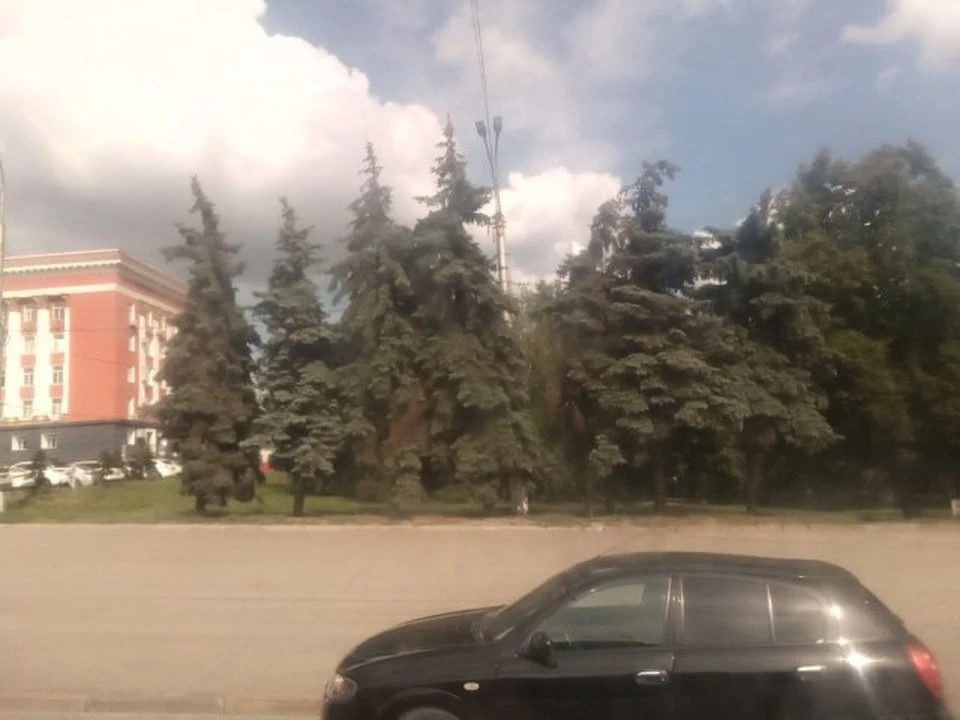 В области значительно потеплеет