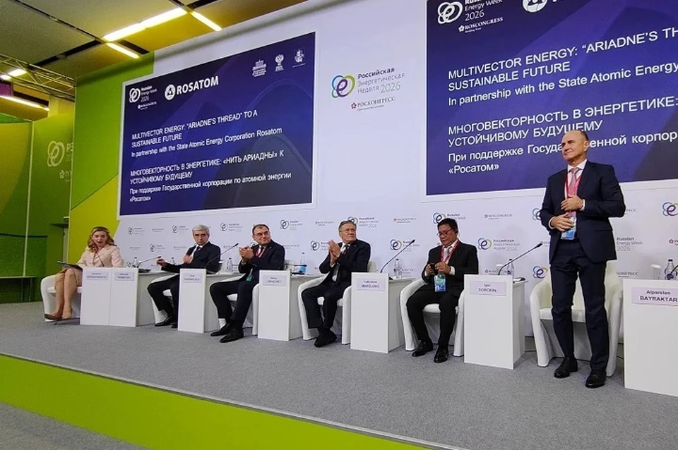 Ростовская область представила на РЭН многовекторную энергетику. Фото: Предоставлено министерством промышленности и энергетики Ростовской области.