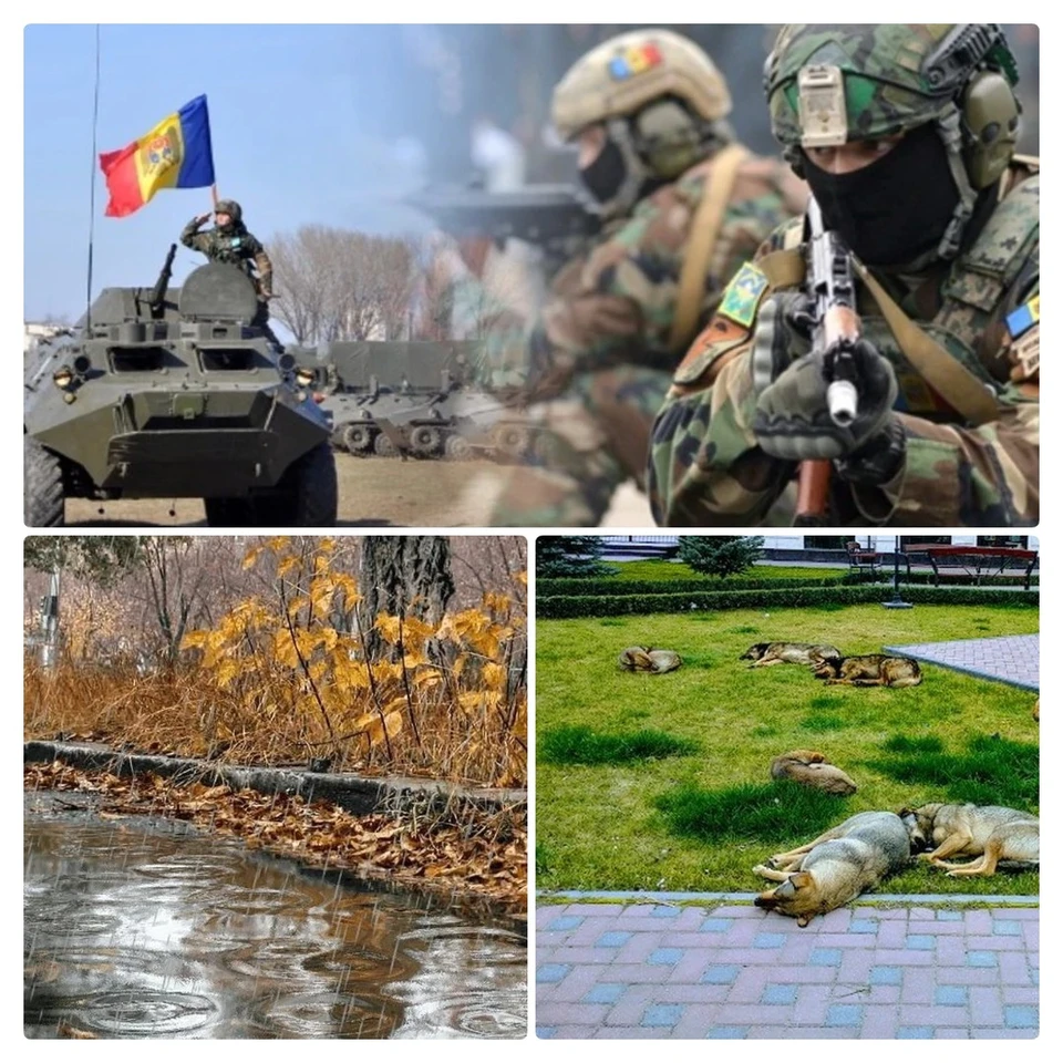 Главные новости в Молдове. Фото: Коллаж "КП"