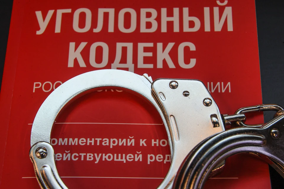 Депутат Пискарев перечислил предлагаемые поправки в Уголовный кодекс РФ. Фото: Bulkin Sergey/ news.ru/ Global Look Press