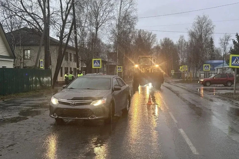 Водителей призывают снижать скорость в зоне пешеходных переходов. Фото: УМВД России по Томской области