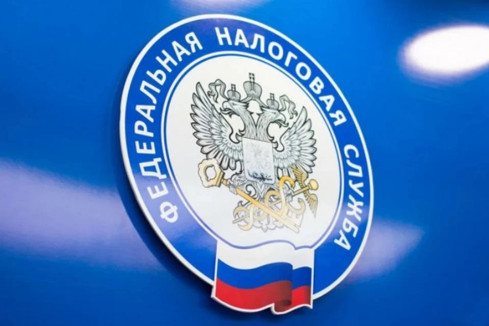 ФНС готовит новый налоговый режим для малого бизнеса и самозанятых: что известно Фото: пресс-служба ФНС