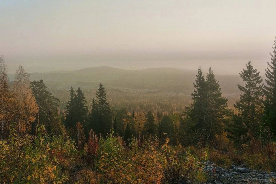 Нейросеть проанализировала фото местности, где пропали Усольцевы. Фото: Следственный комитет.