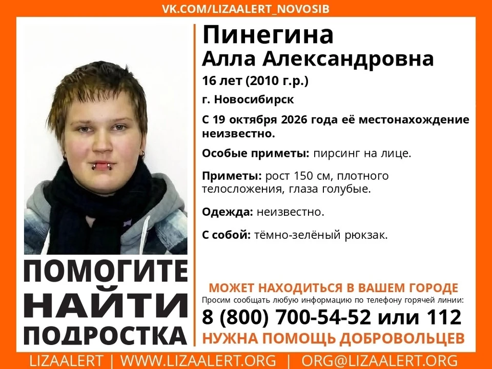 Фото: Лиза Алерт.
