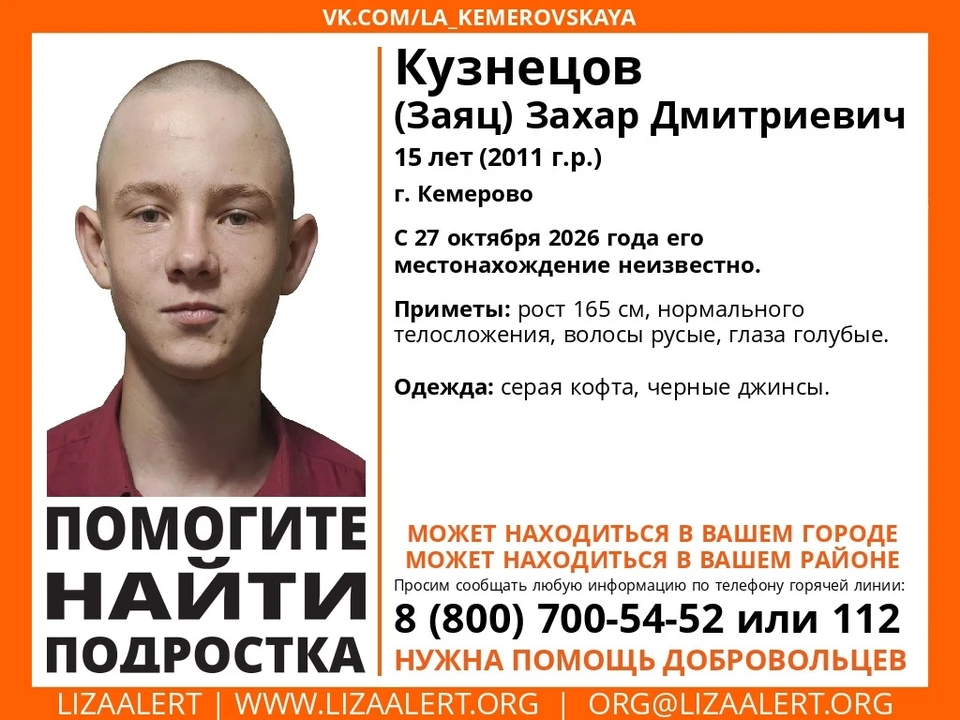 Фото: «ЛизаАлерт».