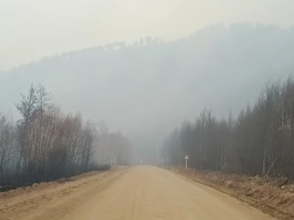 Фото: Наталья ВАРСЕГОВА
