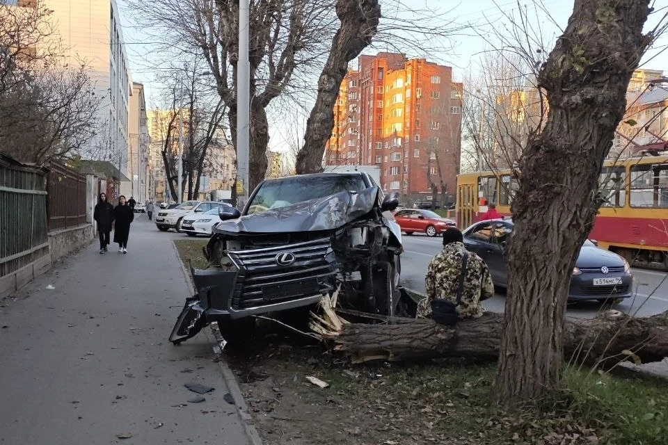 Водитель внезапно повернул направо и снес дерево