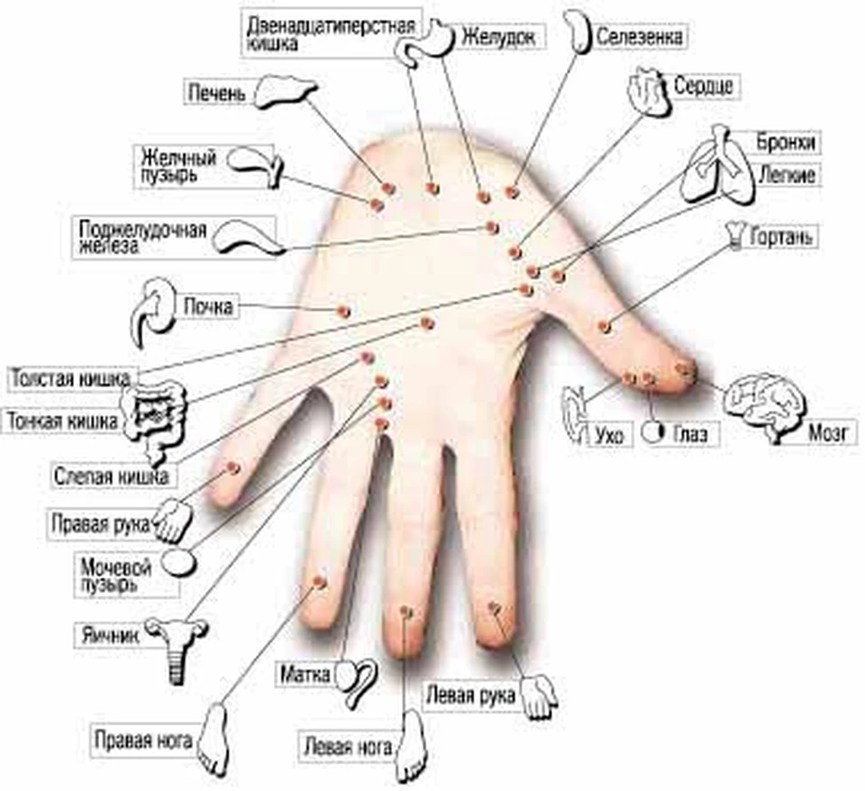 Семена вместо таблеток - KP.RU