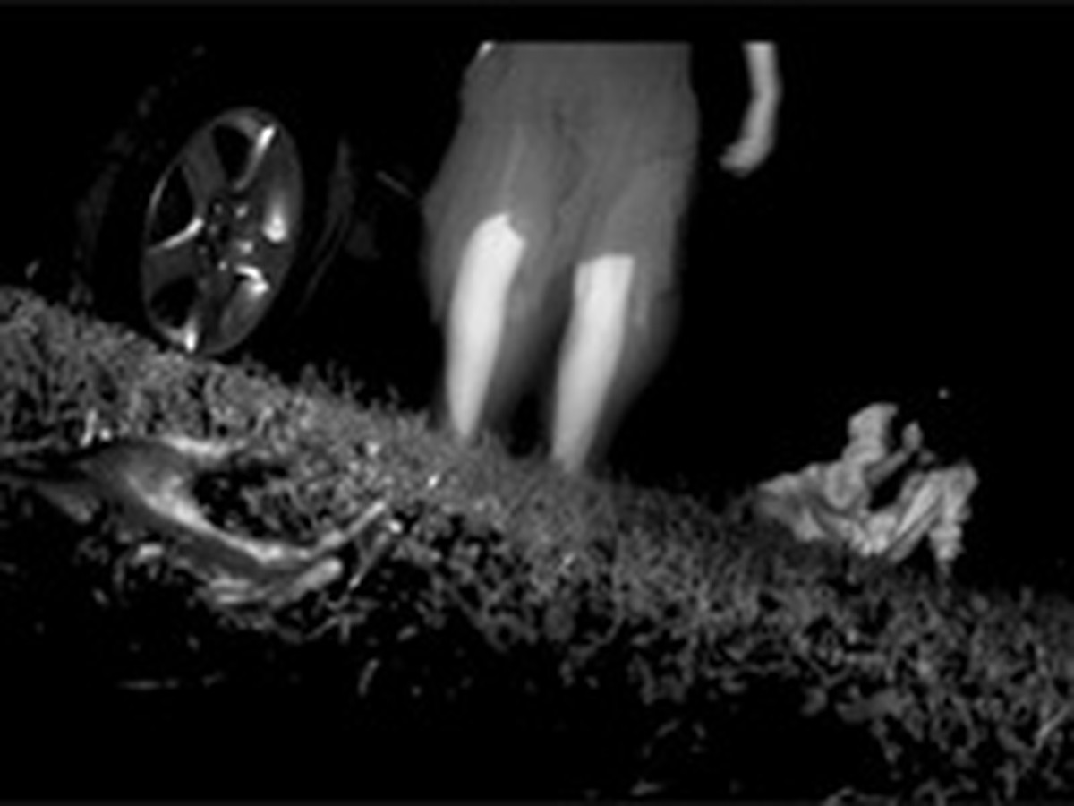 Ағып жатқан кисканың жақыннан түсірілген фотосы