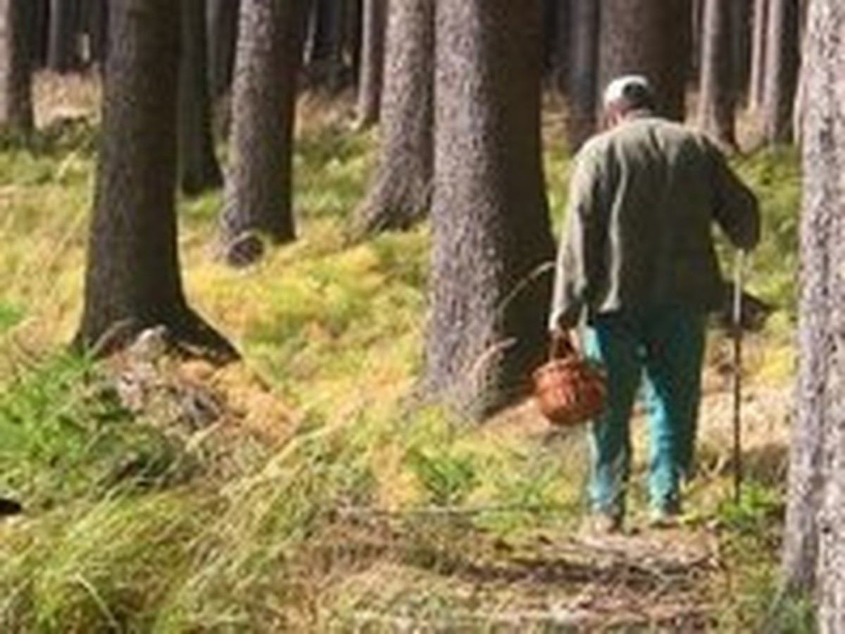 артеев с 12 лет стал убегать из дома (95) фото