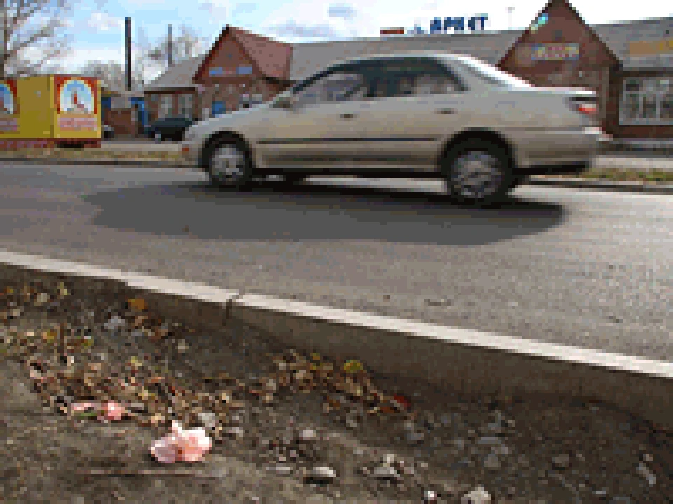 Машина с молодоженами сбила 8-летнюю девочку.