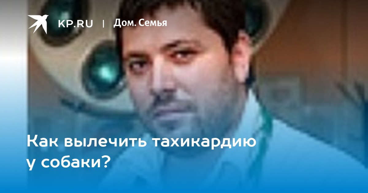 Как вылечить тахикардию у собаки? - KP.RU