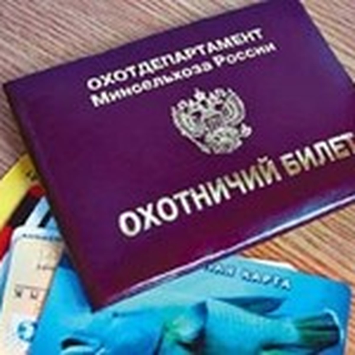 Как пермякам получить охотничий билет нового образца - KP.RU