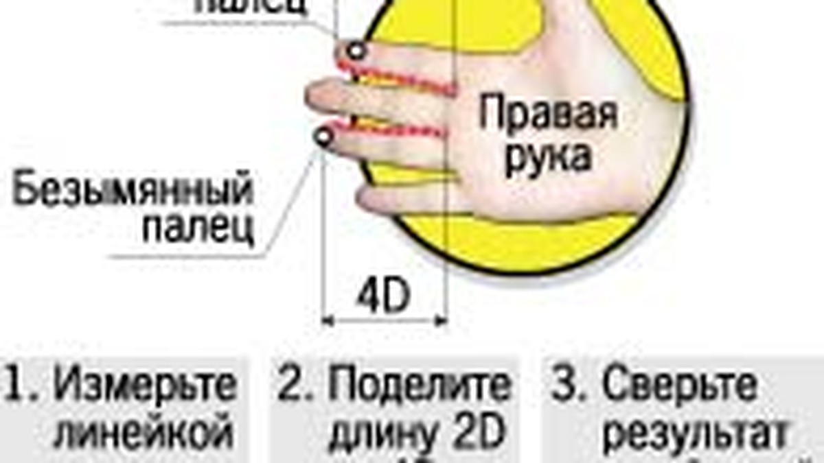 Пристрастия в сексе можно определить по пальцам - KP.RU