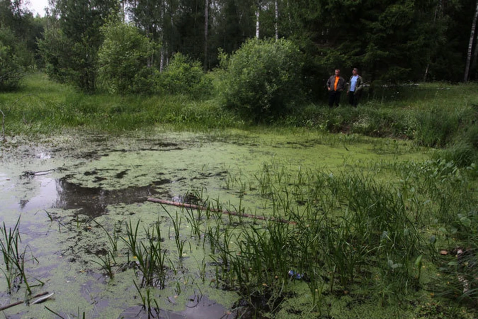 На берегу этого лесного озерка впримерно в 4-х км от деревни Осипово обнаружили одежду пропавших матери и детей.