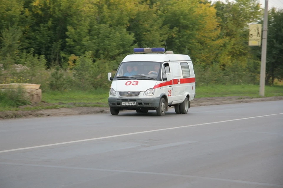 В Кузбассе хорек напал на спящего младенца.
