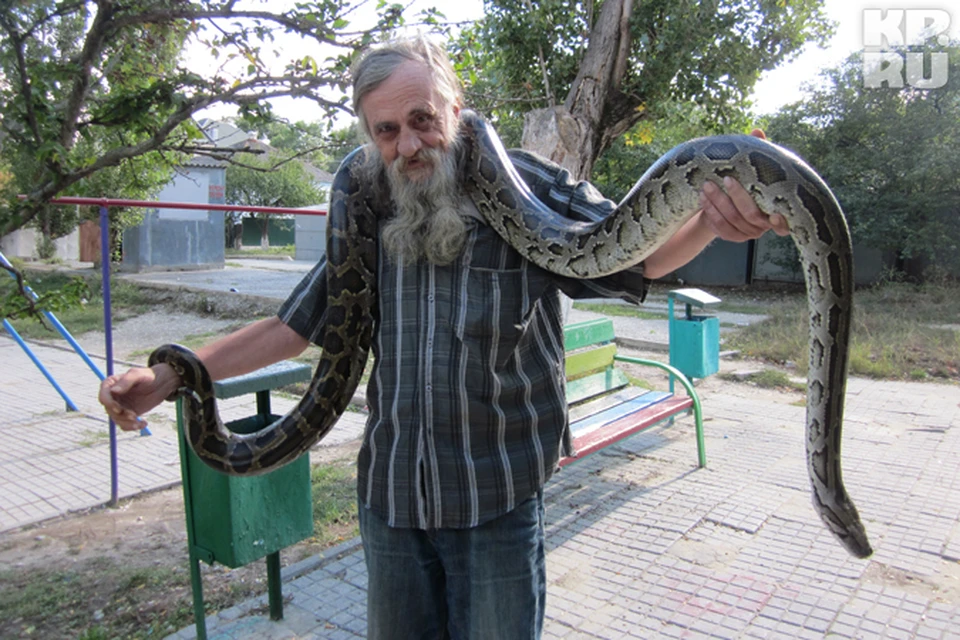 Купить Музыкальная Змейка на Кроватку Sozzy Обезьяна в Ташкенте • Интернет-магазин Я родился