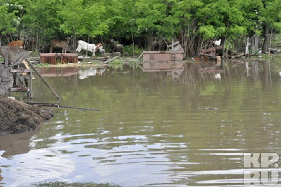 Наводнение в Крымске унесло жизни 153 человек, сотни домов оказались разрушены