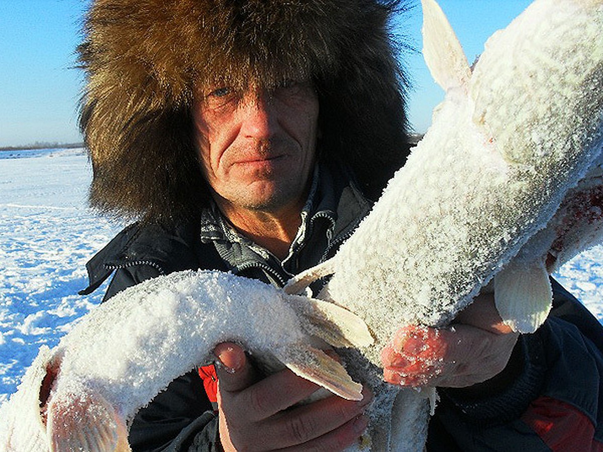 Рыбалка на Южном Урале: знакомимся с щукой - KP.RU