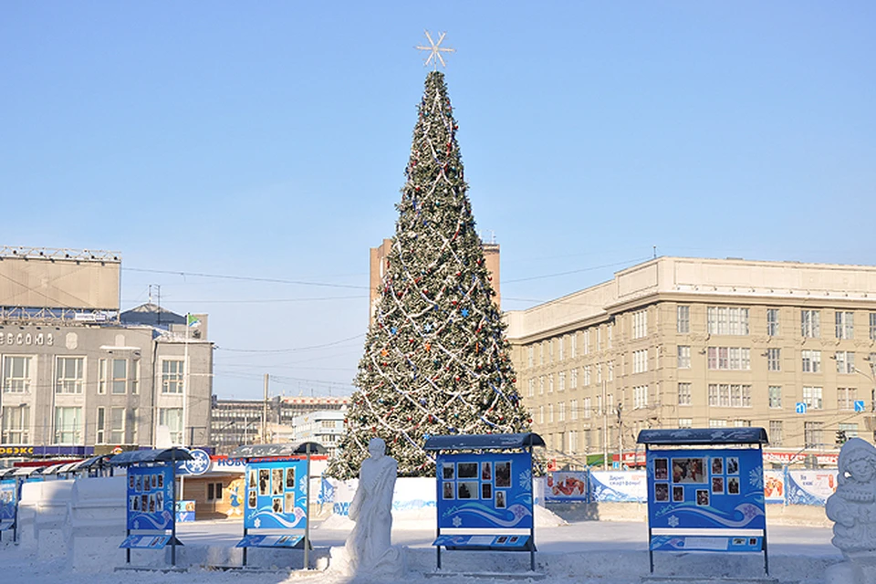 Ель новосибирск. Елка на площади Ленина Новосибирск. Главная елка Новосибирска. Новосибирск елка на площади. Главная Новосибирская елка.