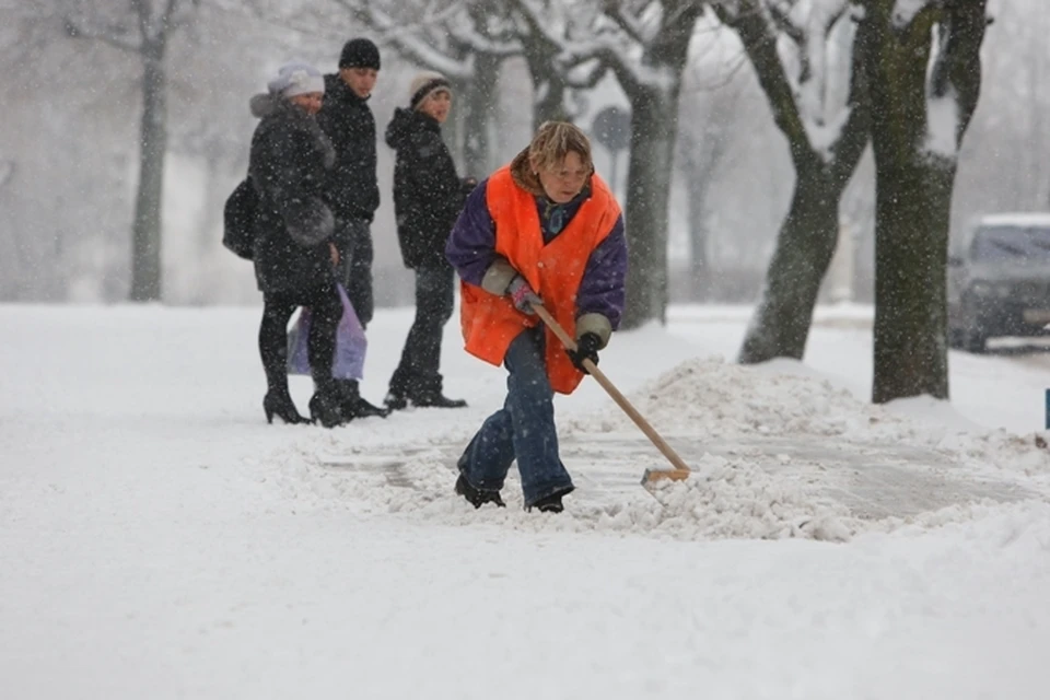 Вчера на работу вышли все 560 дворников "Чистоты".