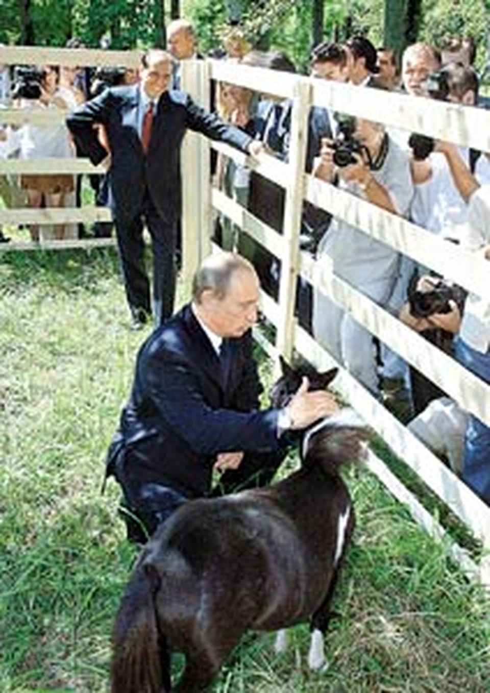 Коньку-горбунку радовались и Владимир Путин, и его друг Сильвио.