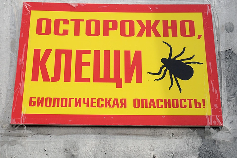 В Новосибирске продолжается противоклещевая обработка парков.