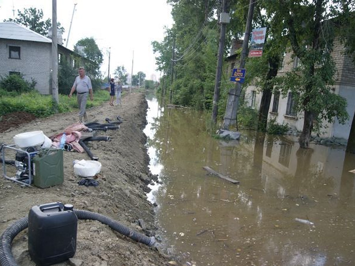 Добровольцы спасают улицу Юнгов - KP.RU