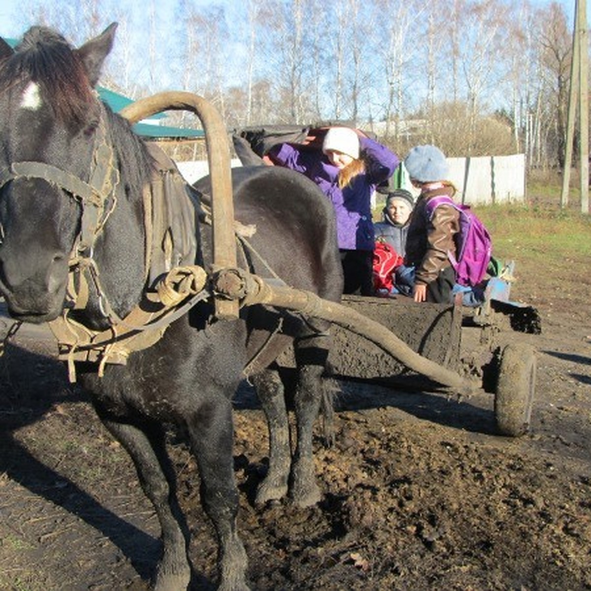 Чиновники - детям из орловской деревни: «Зачем вам автобус? Сами дойдете!»  - KP.RU