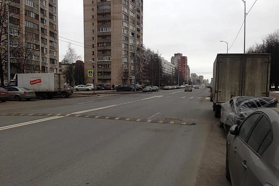 Участковый не заметил на зебре никого