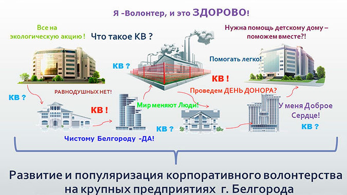 Проект Совета молодежи Белгородэнерго по развитию корпоративного  волонтерского движения удостоен гранта - KP.RU