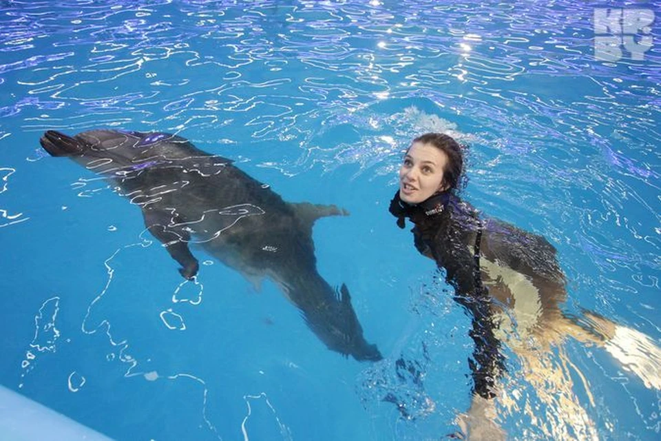 Корреспондент КП очень понравилась дельфину по имени Геркулес