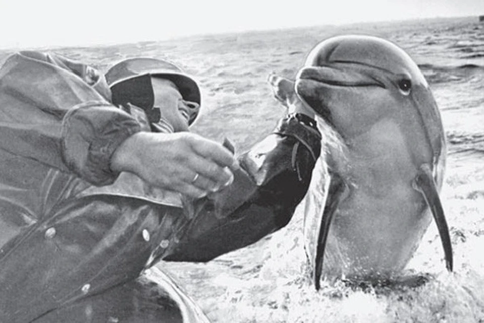Нельзя исключить, что во время натовских учений америкаснкие боевые дельфины повстречаются в Черном море с российскими