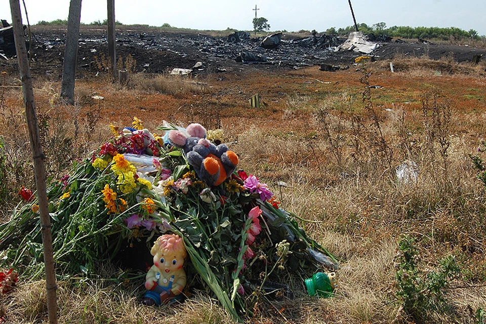 Очевидцы катастрофы малайзийского "Боинга":  Упади самолет на сто метров ближе - жертв было бы в два раза больше