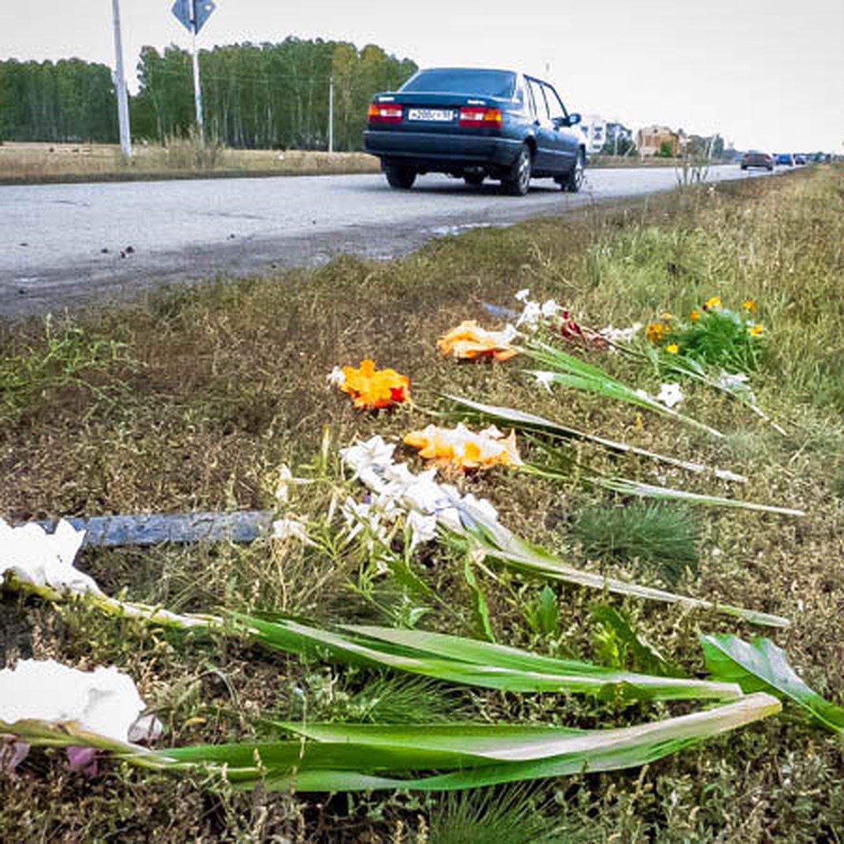 Жители Омской области о водителе, сбившем пятерых подростков:«У таксистов  конкуренция, вот и гоняют» - KP.RU