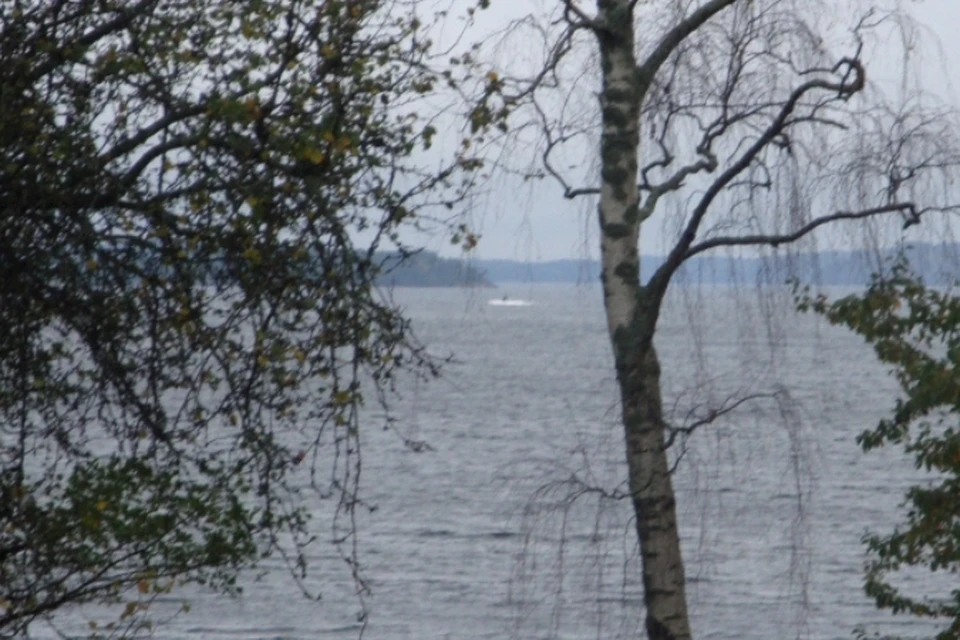 В Стокгольме уверяют, что засекли сигнал о помощи с нашей субмарины. За беспрецедентной охотой следит уже вся страна. Фото: www.forsvarsmakten.se