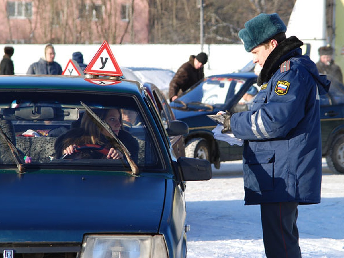 Получаем водительские права по-новому: Долго, зато дорого - KP.RU