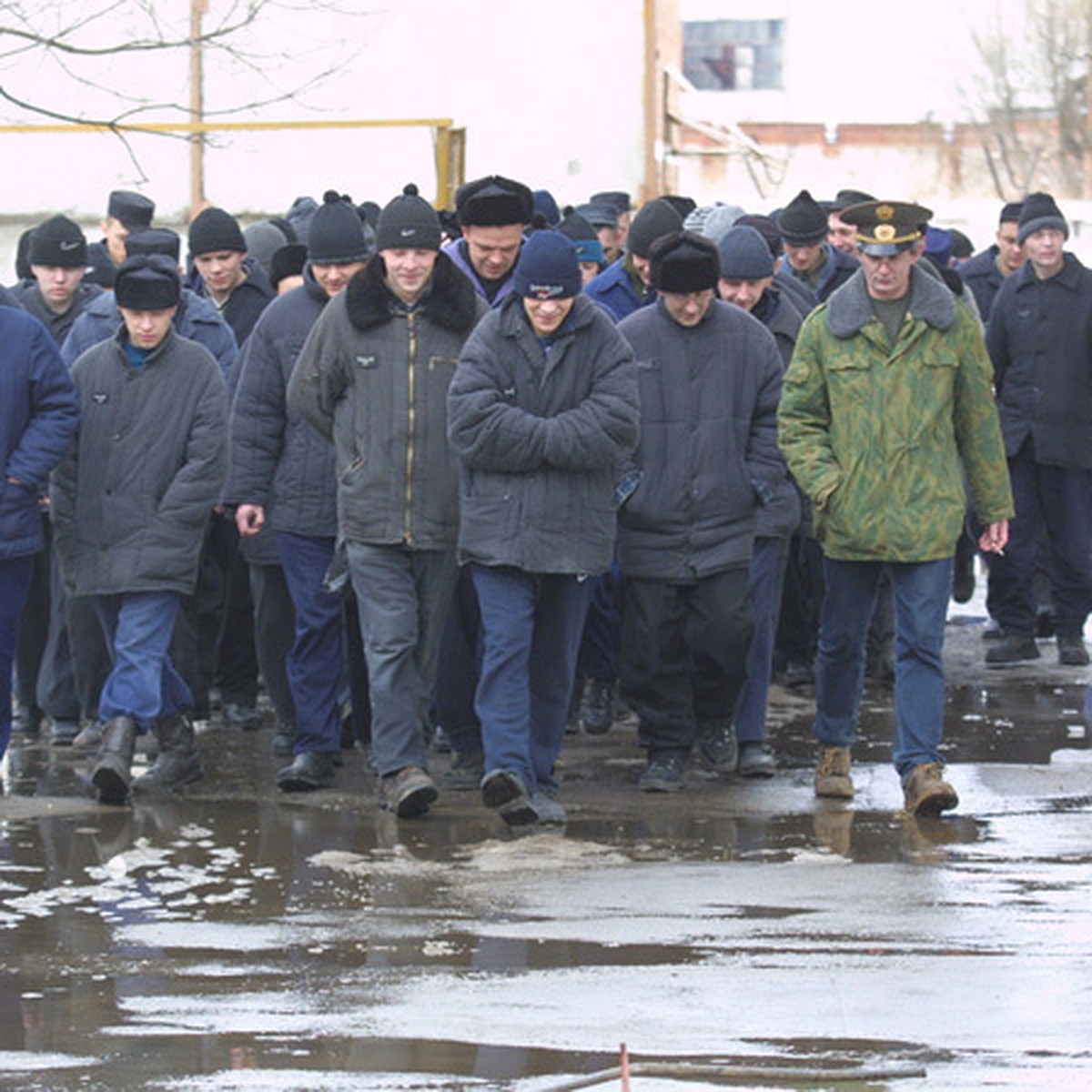 Осужденные из колонии-поселения в Атляне не будут разгуливать по Миассу -  KP.RU