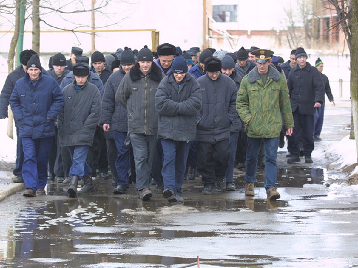 Осужденные из колонии-поселения в Атляне не будут разгуливать по Миассу -  KP.RU