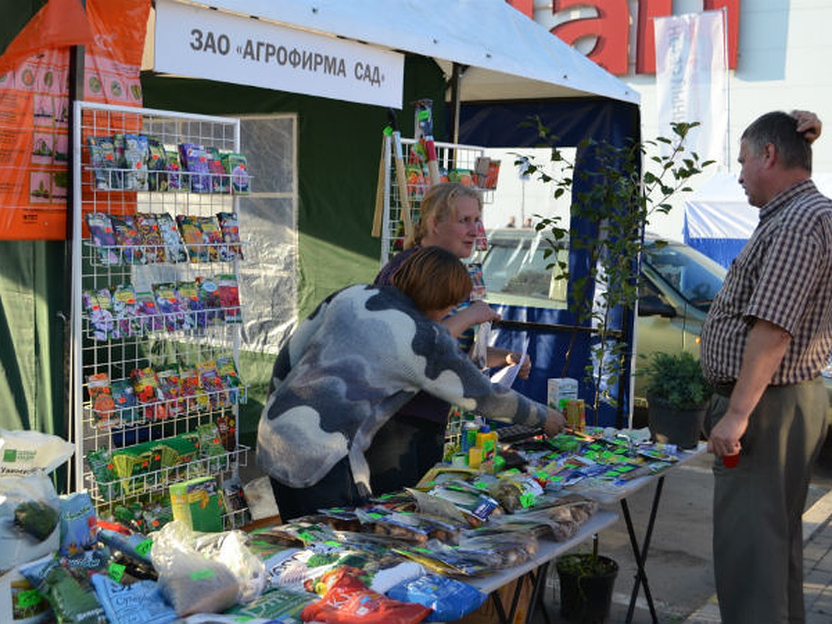 Сенсация: «уДАЧНЫЙ СЕЗОН» пройдет на парковке ТЦ «Пушкаревское кольцо» -  KP.RU