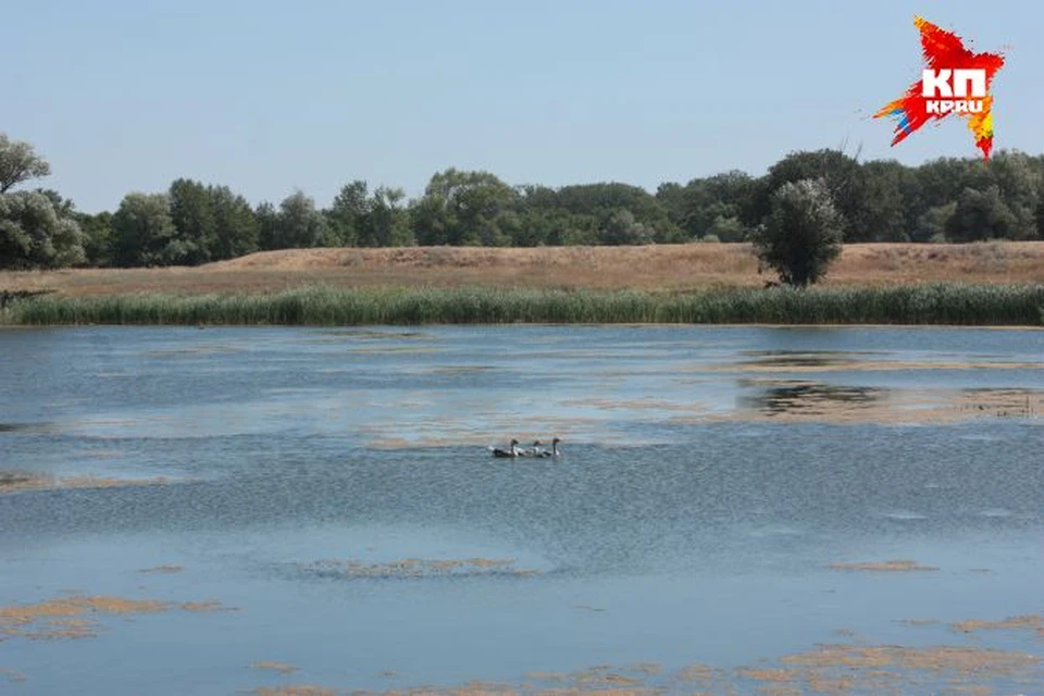 Если ничего сейчас не исправить, засуха уничтожит нашу пойму.