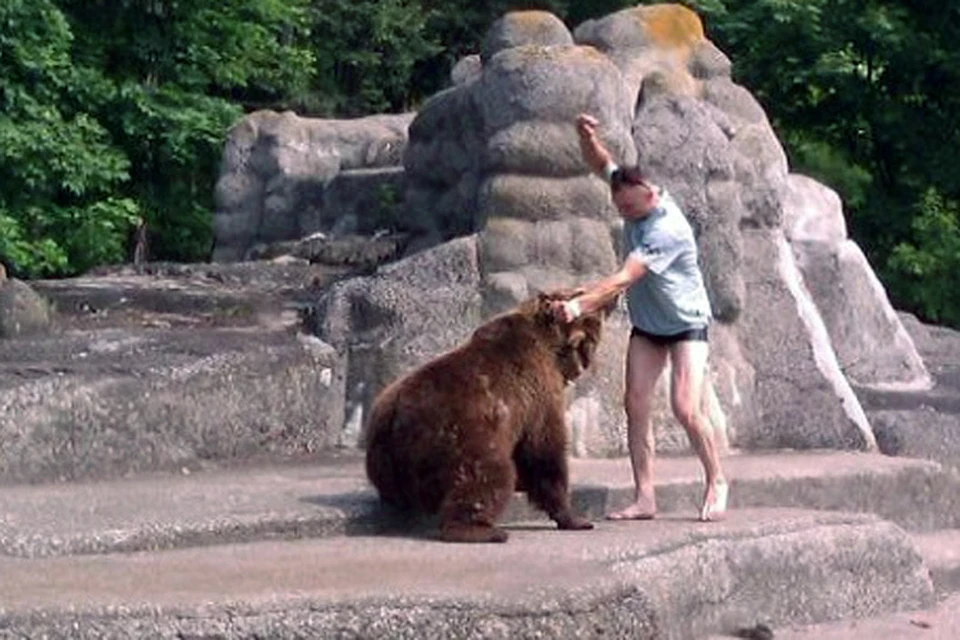 Мужчине, напавшему на медведя в зоопарке Варшавы, грозит штраф - 270 долларов