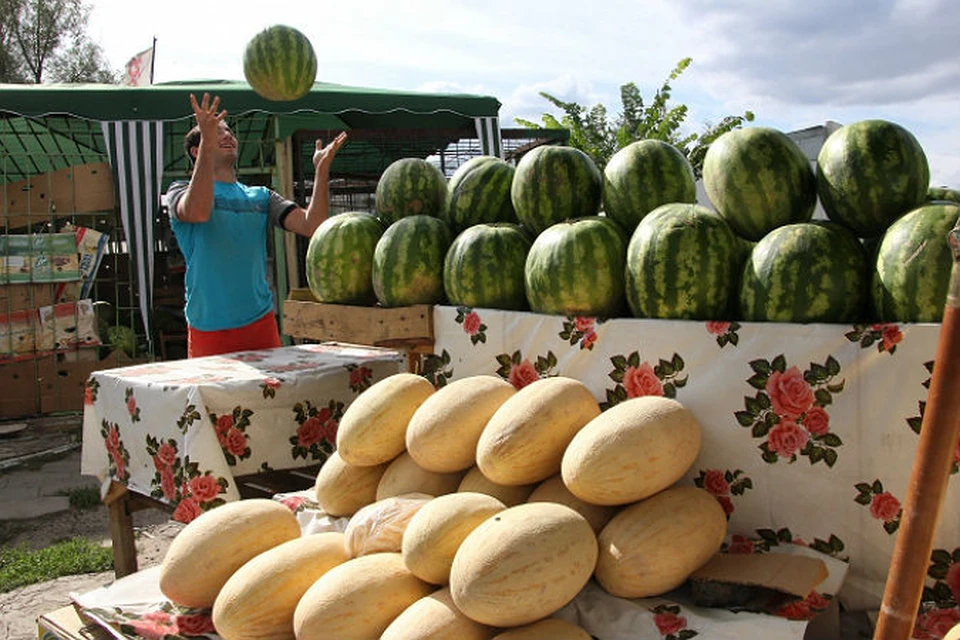 Скоро наступит арбузный сезон