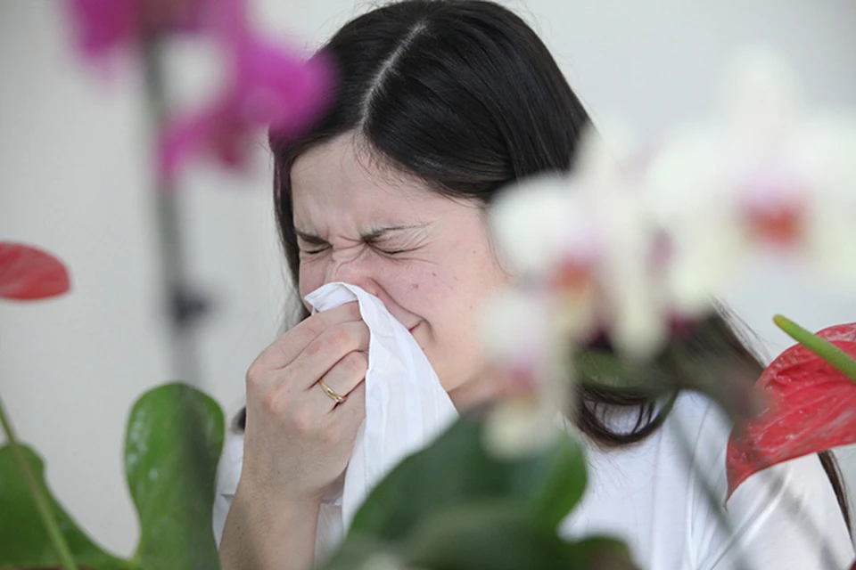 А лето, наоборот, удачное для людей, которые страдают от аллергии на пыльцу, ведь этим летом пыление злаков - гораздо меньше, чем обычно