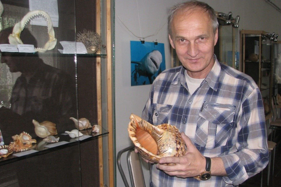 К каждой раковине Александр Георгиевич относится трепетно. Фото: Елена КУЛАКОВА